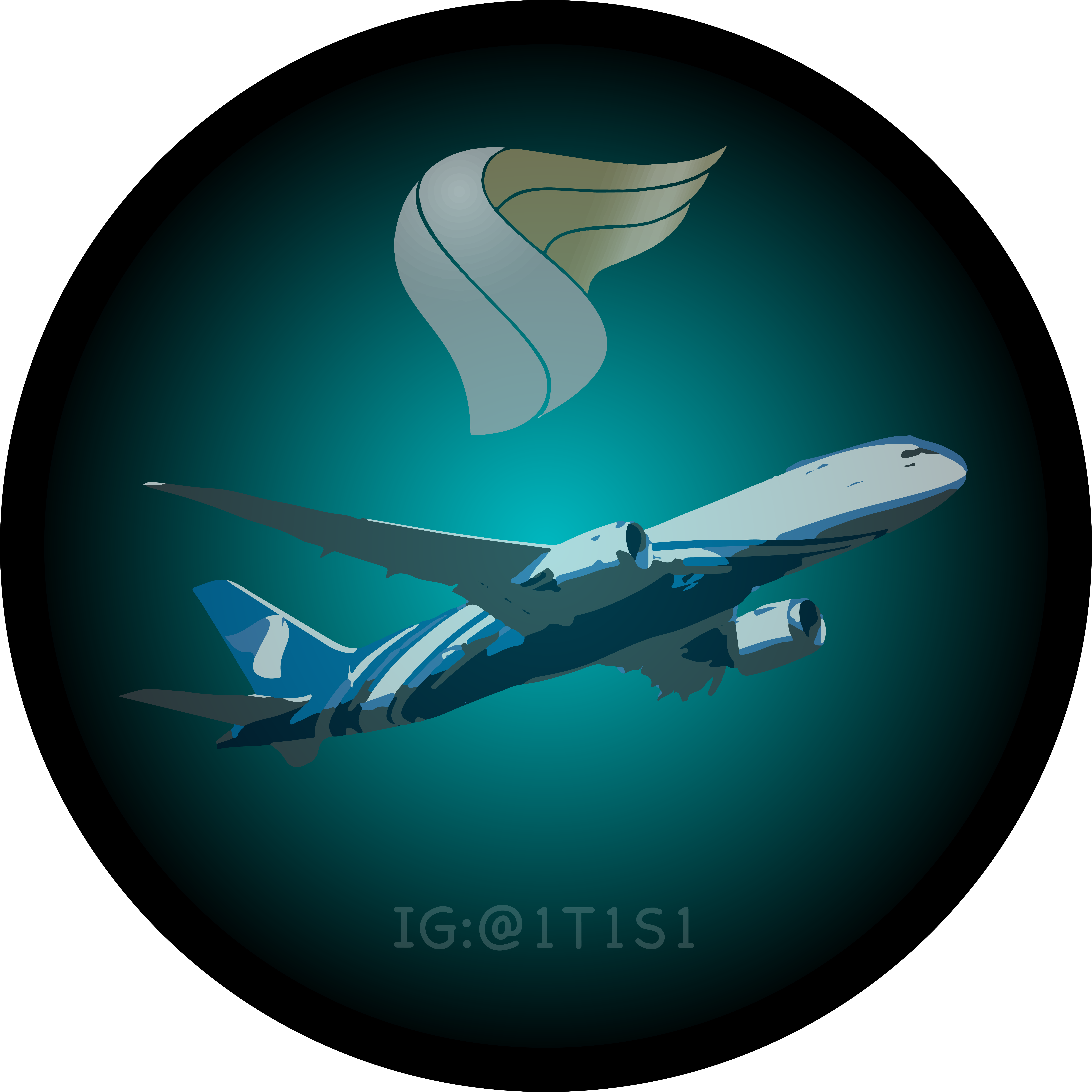 Aviation and travel identity